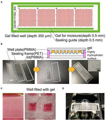 Low-cost gel-filled microwell array device for screening marine microbial consortium